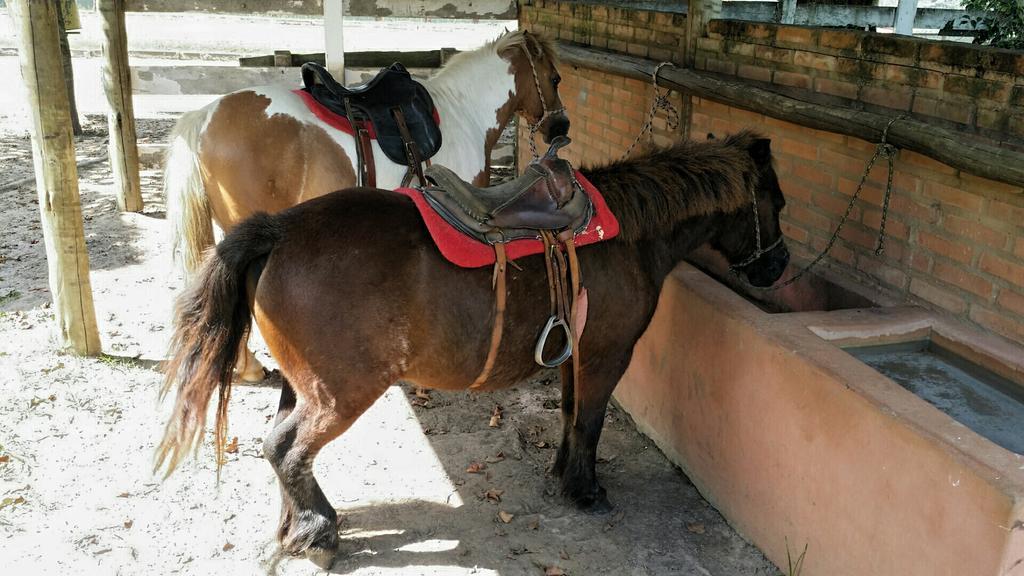 Pousada Suites Águas de São Pedro Dış mekan fotoğraf